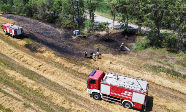 Lángolt egy búzaföld Szabadka határában