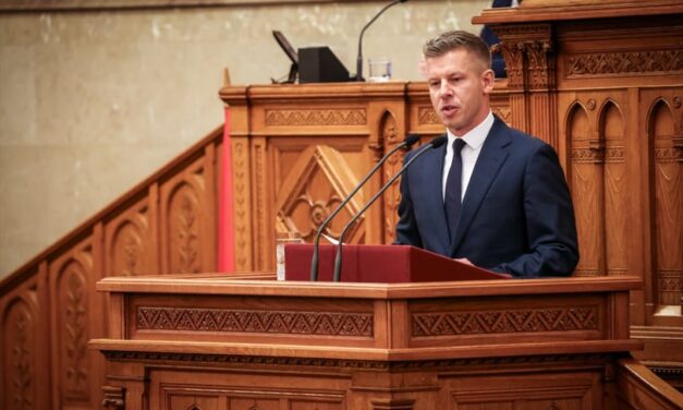 A Tisztítótűz-művelet részeként távolítanák el Sulyok Tamást az elnöki tisztségből