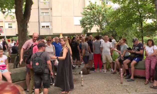 Dinko Gruhonjić újságíró és egyetemi tanár családja melletti tüntetés volt Újvidéken