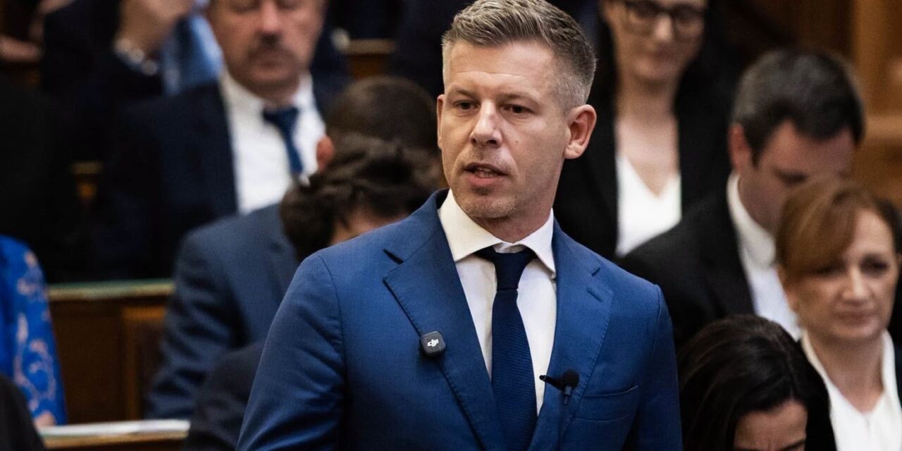 Magyar: Egy köztársasági elnöknek meg kell szólalnia erkölcsi kérdésekben