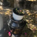 Ismét meggyalázták dr. Zoran Đinđić sírját