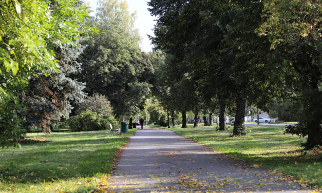 Megtalálták a Szabadkán eltűnt fiút