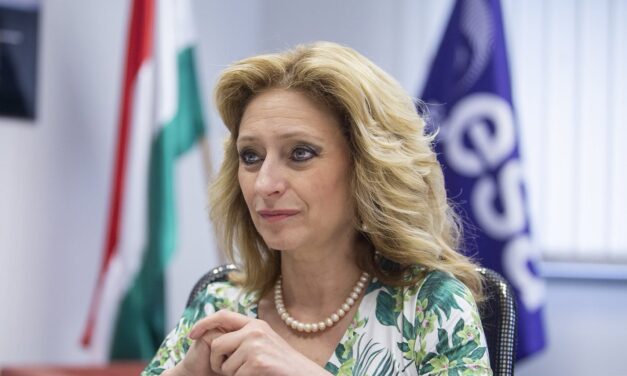 Alakulóban a Fidesz utódpártja?
