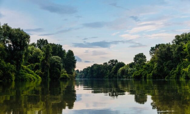 Magyarkanizsánál a Tisza vízminősége megfelel az előírásoknak