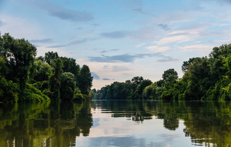 Magyarkanizsánál a Tisza vízminősége megfelel az előírásoknak