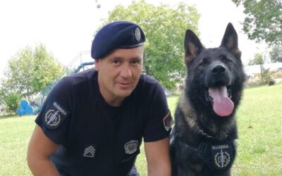 Keresőkutya találta meg a bőröndbe rejtett nő holttestét