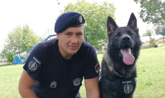 Keresőkutya találta meg a bőröndbe rejtett nő holttestét