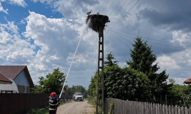 Kigyulladt a villanyoszlop, melyen gólyák fészkeltek