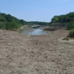 A kishegyesi tározóból titokban a biológiai minimum alá szivattyúzzák a vizet?