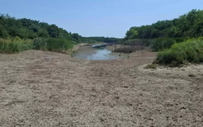 A kishegyesi tározóból titokban a biológiai minimum alá szivattyúzzák a vizet? A DTD Agrar szerint semmi sem utal arra, hogy a tározó kiszáradhatna