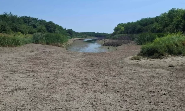 A kishegyesi tározóból titokban a biológiai minimum alá szivattyúzzák a vizet?