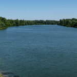 „Szegény Tisza, miért is bántjátok?”