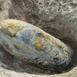 Evakuálás a belgrádi Palilulán egy bomba megsemmisítése miatt