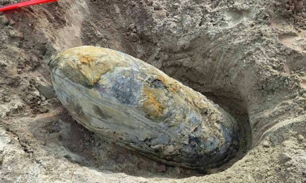 Evakuálás a belgrádi Palilulán egy bomba megsemmisítése miatt