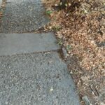 Kalákában újítaná fel a járdákat a zentai önkormányzat
