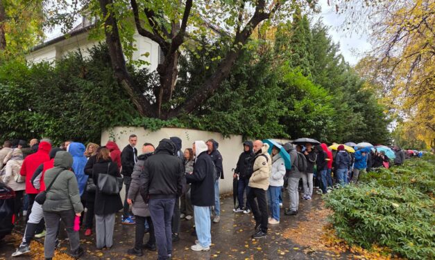 Az egyetemisták 72,71, a haladók 24,69 százalékot szereztek külföldön