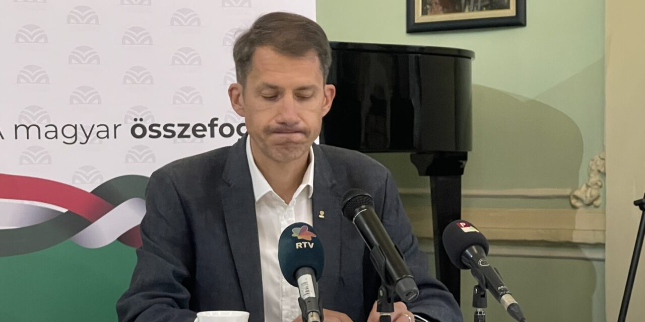 Németh Ferenc: két okból is megbüntették a vajdasági magyarok a VMSZ-t a szerbiai választáson