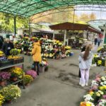 Közeleg mindenszentek, fogynak a krizantémok