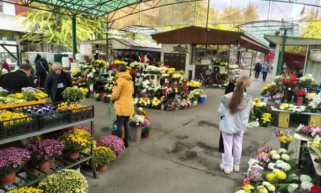 Közeleg mindenszentek, fogynak a krizantémok